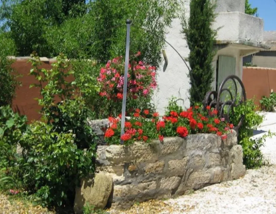 par terre de fleurs dans le domaine du mas saint louis en pleine Camargue sauvage et naturel